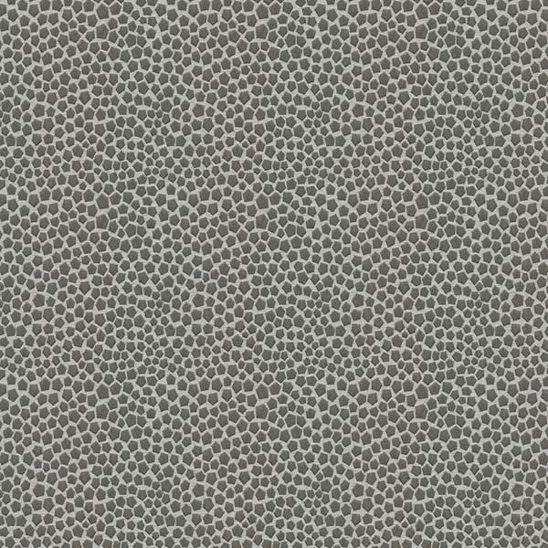 Orion Graphite RMN2278