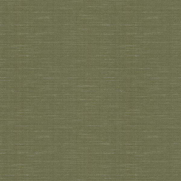 Rattan Fern RMN1604